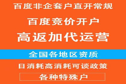 网络营销新篇章：竞价推广案例分析